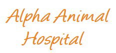 Alpha Animal Hospital Coolangatta
