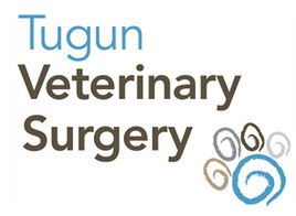 Tugun Veterinary Surgery - Gold Coast Vets 0