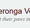 Yeronga Vet Surgery - Gold Coast Vets