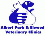 Albert Park Veterinary Clinic - Gold Coast Vets 0