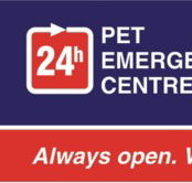 Animal Accident  Emergency - Gold Coast Vets