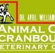 Animal Care Cranbourne Veterinary Centre - Gold Coast Vets