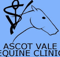 Ascot Vale Equine Clinic - Gold Coast Vets