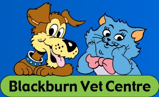Blackburn VIC Gold Coast Vets