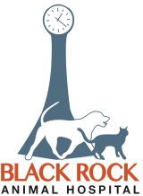 Black Rock Veterinary Clinic - Gold Coast Vets 0