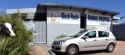 Black Rock Veterinary Clinic - Gold Coast Vets 1