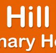 Box Hill Veterinary Hospital - Gold Coast Vets