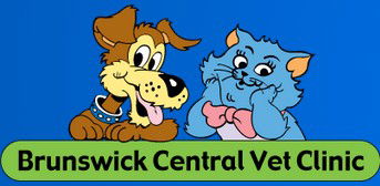 Brunswick Central Vet Clinic - Gold Coast Vets 0
