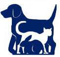 Camberwell Veterinary Clinic - Gold Coast Vets