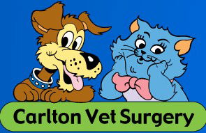 Carlton Veterinary Clinic - Gold Coast Vets 0