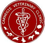 Carnegie Veterinary Clinic - Gold Coast Vets