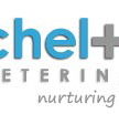Cheltenham Veterinary Clinic - Gold Coast Vets