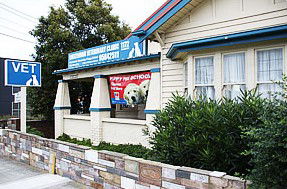 Cheltenham Veterinary Clinic - Gold Coast Vets 1