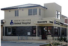  Gold Coast Vets