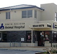 South Eastern Animal Hospital - Gold Coast Vets