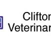 Clifton Hill Veterinary Clinic - Gold Coast Vets
