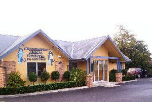 Craigeburn Animal Hospital - Gold Coast Vets 1