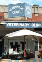 Elwood Veterinary Clinic - Gold Coast Vets 1