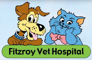  Gold Coast Vets