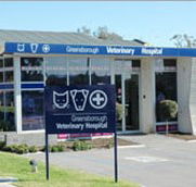 Greensborough Veterinary Hospital - Gold Coast Vets
