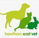Hawthorn East Vet - Gold Coast Vets