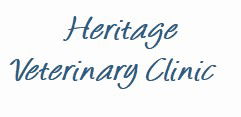 Heritage Veterinary Clinic - Gold Coast Vets 0
