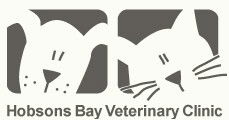  Gold Coast Vets