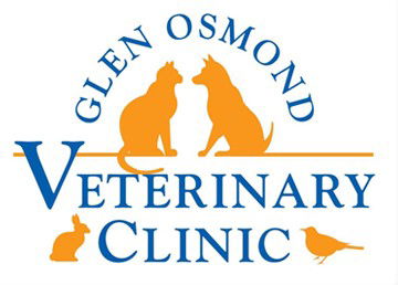 Glen Osmond Veterinary Clinic - Gold Coast Vets 0