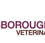 Keysborough Veterinary Practice - Gold Coast Vets