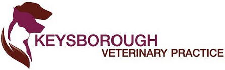 Keysborough Veterinary Practice - Gold Coast Vets 0
