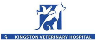 Kingston Veterinary Hospital - Gold Coast Vets 0
