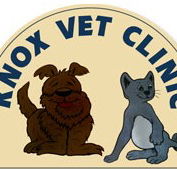 Knox Vet Clinic - Gold Coast Vets