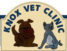 Knox Vet Clinic - Gold Coast Vets 0