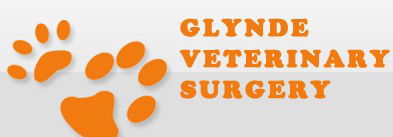 Firle SA Gold Coast Vets