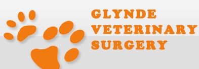 Glynde Veterinary Surgery - Gold Coast Vets 0