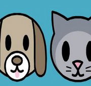 Mackie Family Veterinary Clinic - Gold Coast Vets