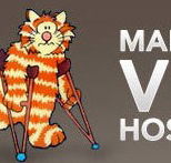 Malvern Vet - Gold Coast Vets