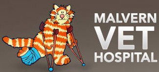 Malvern Vet - Gold Coast Vets 0