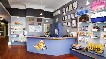 Malvern Vet - Gold Coast Vets 1