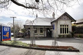 Malvern Vet - Gold Coast Vets 2