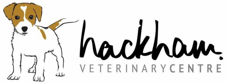  Gold Coast Vets
