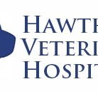 Hawthorn Veterinary Hospital - Gold Coast Vets