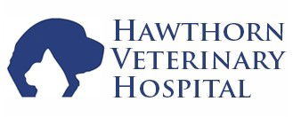 Hawthorn Veterinary Hospital - Gold Coast Vets 0