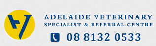 Adelaide Veterinary Specialist & Referral Centre - Gold Coast Vets 0