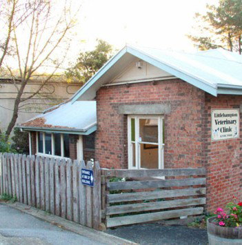 Littlehampton Veterinary Clinic - Gold Coast Vets 0