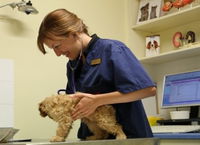 Marion Small Animal Hospital