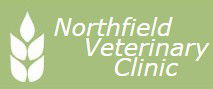 Northfield Veterinary Clinic - Gold Coast Vets 0