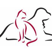 Paralowie Veterinary Surgery - Gold Coast Vets
