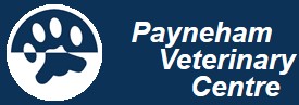 Payneham SA Gold Coast Vets