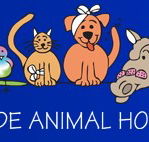 Prospect Road Veterinary Hospital - Gold Coast Vets